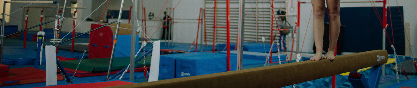 gymnastics image